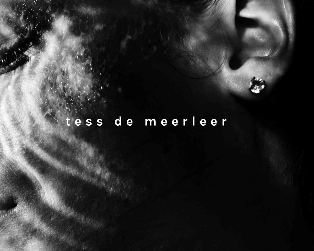 tess de meerleer