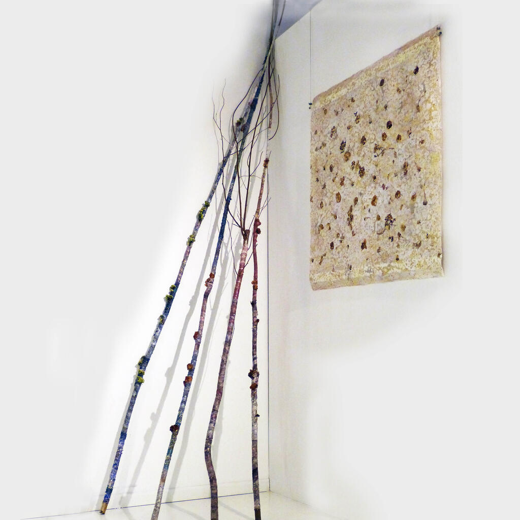 installation-balthasar.jpg
